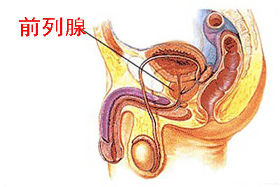 前列腺凝胶oem厂家表示男性朋友同样需要私密护理